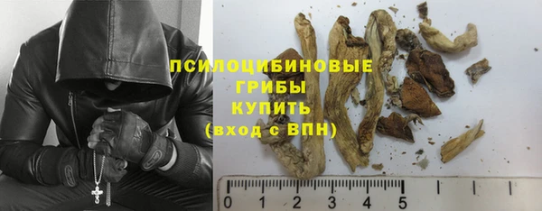 mdpv Арсеньев
