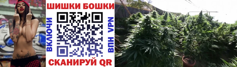 Конопля ГИДРОПОН  Родники 